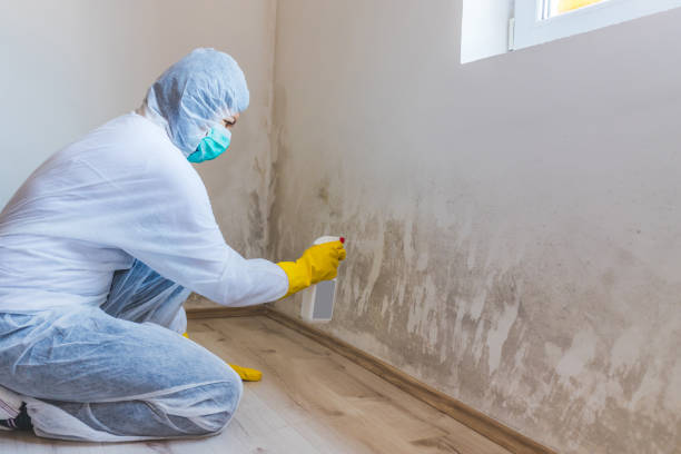 Licensed Mold Remediation service in Eden Prairie, MN - WQB Mold Removal