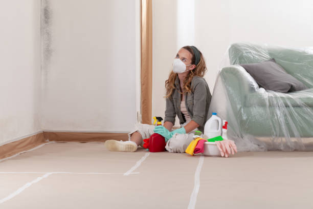 Reliable Mold Remediation contractor in Eden Prairie, MN by WQB Mold Removal